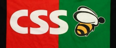 CSS
